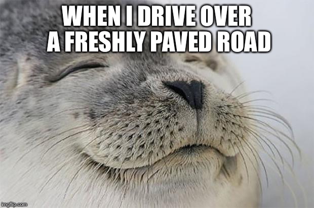 Satisfied Seal Meme | WHEN I DRIVE OVER A FRESHLY PAVED ROAD | image tagged in memes,satisfied seal,AdviceAnimals | made w/ Imgflip meme maker