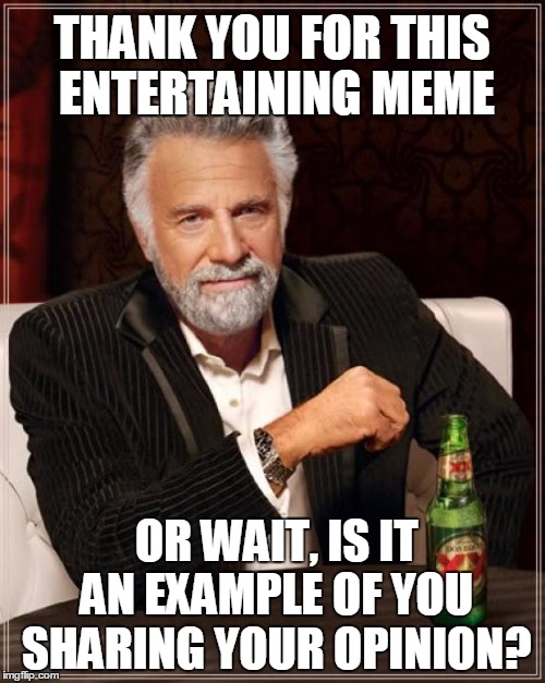 The Most Interesting Man In The World Meme | THANK YOU FOR THIS ENTERTAINING MEME OR WAIT, IS IT AN EXAMPLE OF YOU SHARING YOUR OPINION? | image tagged in memes,the most interesting man in the world | made w/ Imgflip meme maker