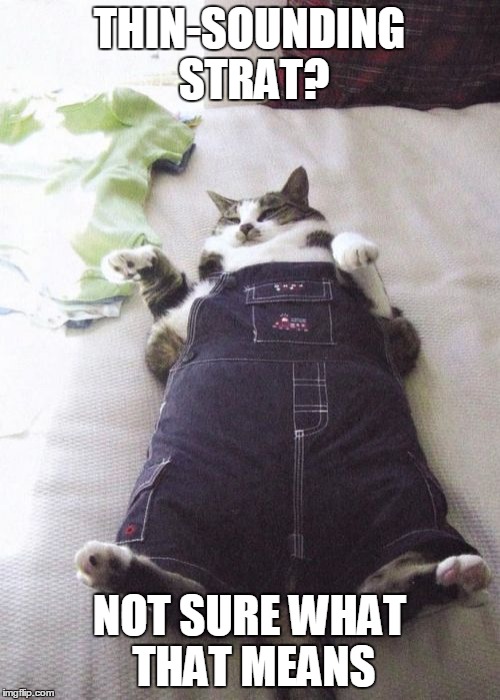 Fat Cat Meme | THIN-SOUNDING STRAT? NOT SURE WHAT THAT MEANS | image tagged in memes,fat cat | made w/ Imgflip meme maker