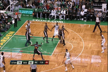 osaz.gif