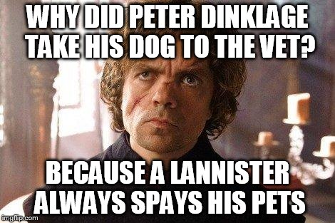 Unimpressed Tyrion  | WHY DID PETER DINKLAGE TAKE HIS DOG TO THE VET? BECAUSE A LANNISTER ALWAYS SPAYS HIS PETS | image tagged in unimpressed tyrion | made w/ Imgflip meme maker