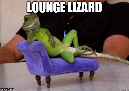 Sassy Iguana | LOUNGE LIZARD | image tagged in memes,sassy iguana | made w/ Imgflip meme maker