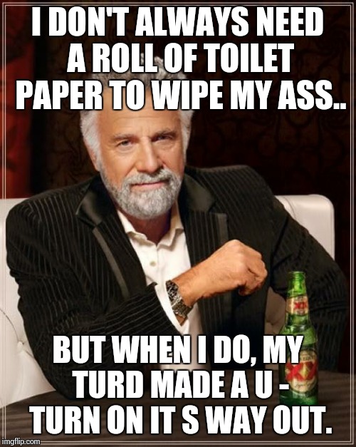 The Most Interesting Man In The World | I DON'T ALWAYS NEED A ROLL OF TOILET PAPER TO WIPE MY ASS.. BUT WHEN I DO, MY TURD MADE A U - TURN ON IT S WAY OUT. | image tagged in memes,the most interesting man in the world | made w/ Imgflip meme maker