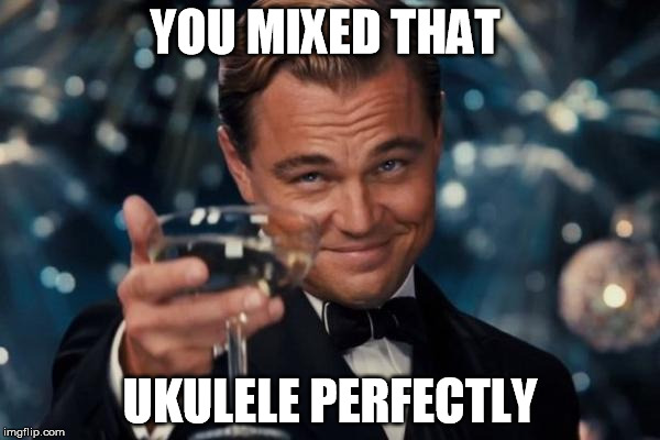Leonardo Dicaprio Cheers Meme | YOU MIXED THAT UKULELE PERFECTLY | image tagged in memes,leonardo dicaprio cheers | made w/ Imgflip meme maker
