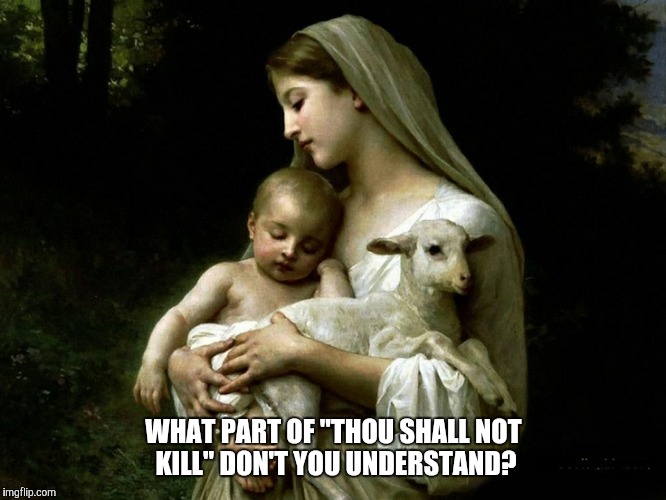 WHAT PART OF "THOU SHALL NOT KILL" DON'T YOU UNDERSTAND? | image tagged in shallnotkill | made w/ Imgflip meme maker