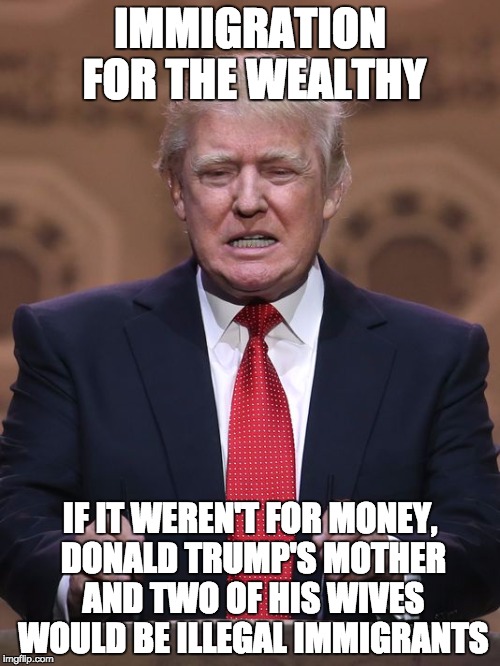 Donald Trump | IMMIGRATION FOR THE WEALTHY IF IT WEREN'T FOR MONEY, DONALD TRUMP'S MOTHER AND TWO OF HIS WIVES WOULD BE ILLEGAL IMMIGRANTS | image tagged in donald trump | made w/ Imgflip meme maker