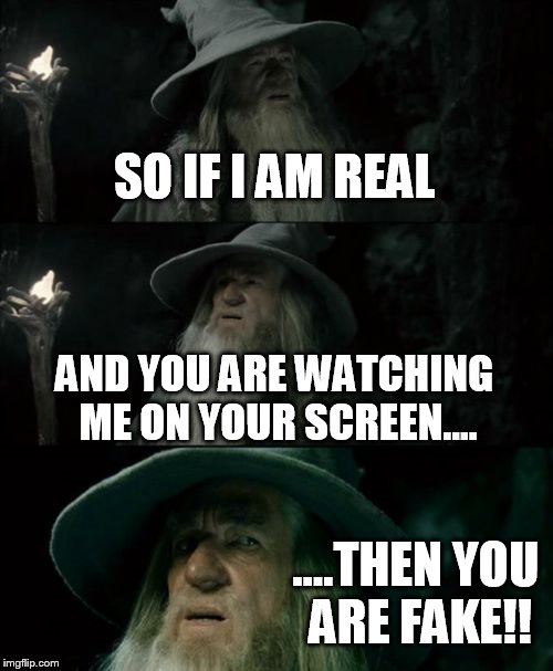 Confused Gandalf Meme | SO IF I AM REAL AND YOU ARE WATCHING ME ON YOUR SCREEN.... ....THEN YOU ARE FAKE!! | image tagged in memes,confused gandalf | made w/ Imgflip meme maker
