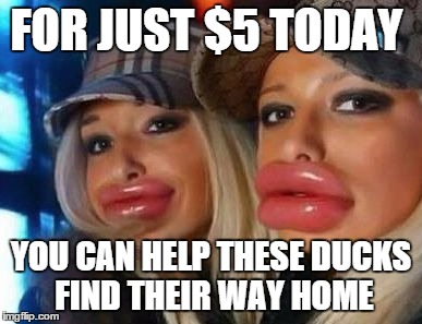 Duck Face Chicks | FOR JUST $5 TODAY YOU CAN HELP THESE DUCKS FIND THEIR WAY HOME | image tagged in memes,duck face chicks | made w/ Imgflip meme maker