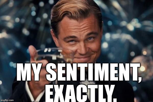 Leonardo Dicaprio Cheers Meme | MY SENTIMENT, EXACTLY. | image tagged in memes,leonardo dicaprio cheers | made w/ Imgflip meme maker