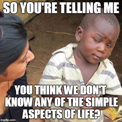 Third World | SO YOU'RE TELLING ME YOU THINK WE DON'T KNOW ANY OF THE SIMPLE ASPECTS OF LIFE? | image tagged in memes,third world skeptical kid,in real life,funny | made w/ Imgflip meme maker