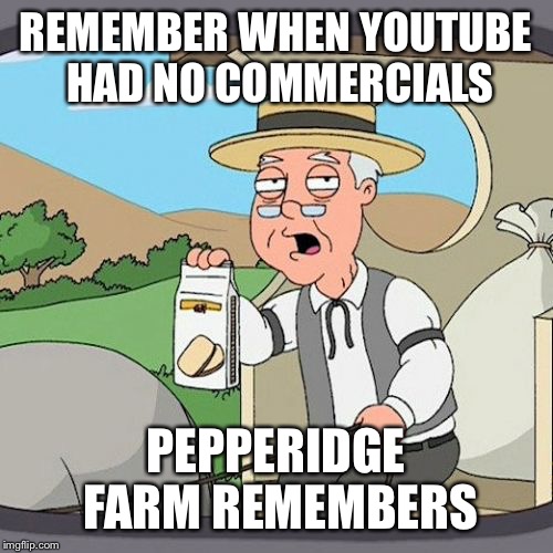 Pepperidge Farm Remembers Meme | REMEMBER WHEN YOUTUBE HAD NO COMMERCIALS PEPPERIDGE FARM REMEMBERS | image tagged in memes,pepperidge farm remembers | made w/ Imgflip meme maker