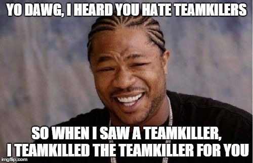 Yo Dawg Heard You | YO DAWG, I HEARD YOU HATE TEAMKILERS SO WHEN I SAW A TEAMKILLER, I TEAMKILLED THE TEAMKILLER FOR YOU | image tagged in memes,yo dawg heard you | made w/ Imgflip meme maker