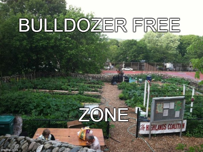 SAFE FROM SUPERINTENDENTS | BULLDOZER FREE ZONE | image tagged in garden,superintendent,school | made w/ Imgflip meme maker