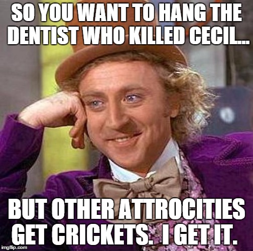 Creepy Condescending Wonka | SO YOU WANT TO HANG THE DENTIST WHO KILLED CECIL... BUT OTHER ATTROCITIES GET CRICKETS.  I GET IT. | image tagged in memes,creepy condescending wonka | made w/ Imgflip meme maker