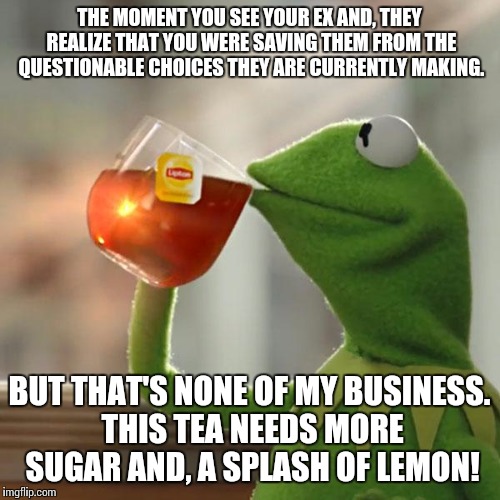 But That's None Of My Business | THE MOMENT YOU SEE YOUR EX AND, THEY REALIZE THAT YOU WERE SAVING THEM FROM THE QUESTIONABLE CHOICES THEY ARE CURRENTLY MAKING. BUT THAT'S N | image tagged in memes,but thats none of my business,kermit the frog | made w/ Imgflip meme maker