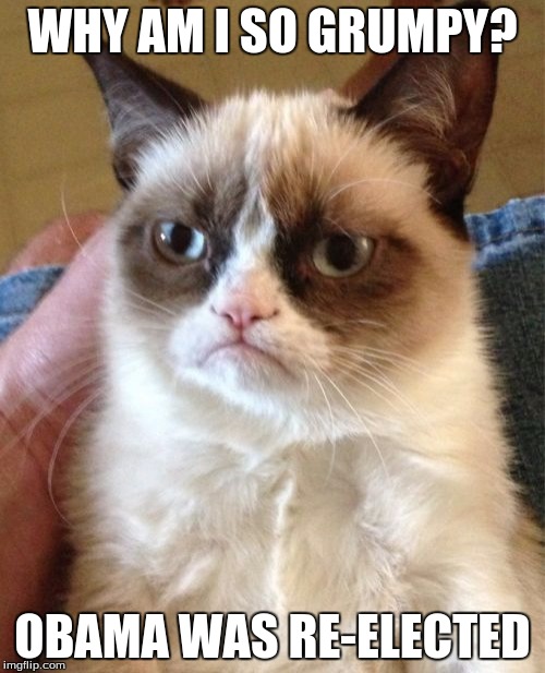 Grumpy Cat | WHY AM I SO GRUMPY? OBAMA WAS RE-ELECTED | image tagged in memes,grumpy cat | made w/ Imgflip meme maker