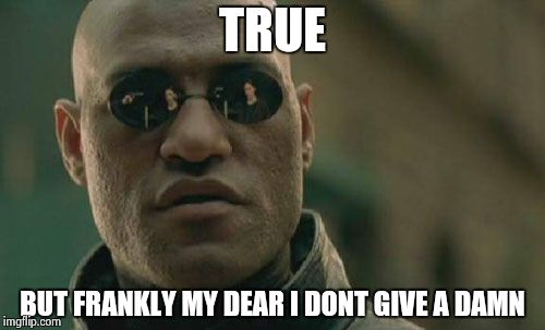 Matrix Morpheus Meme | TRUE BUT FRANKLY MY DEAR I DONT GIVE A DAMN | image tagged in memes,matrix morpheus | made w/ Imgflip meme maker