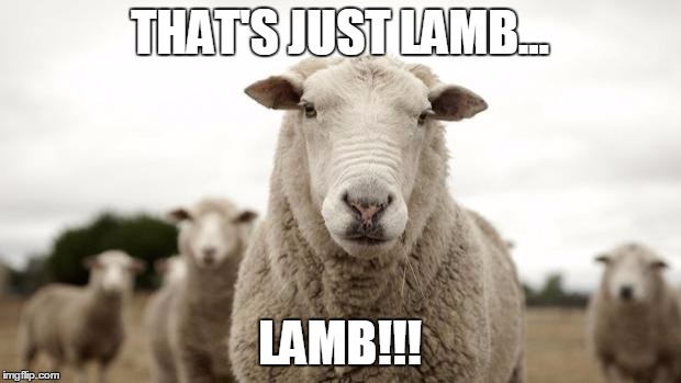 Sheep | THAT'S JUST LAMB... LAMB!!! | image tagged in sheep | made w/ Imgflip meme maker