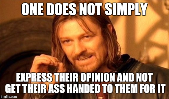 One Does Not Simply Meme | ONE DOES NOT SIMPLY EXPRESS THEIR OPINION AND NOT GET THEIR ASS HANDED TO THEM FOR IT | image tagged in memes,one does not simply | made w/ Imgflip meme maker