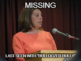 LOOKING FOR SOME ACTION | MISSING LAST SEEN WITH "BULLDOZER BULLY" | image tagged in garden,superintendent,mayor | made w/ Imgflip meme maker