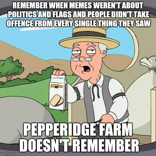 Pepperidge Farm Remembers Meme | REMEMBER WHEN MEMES WEREN'T ABOUT POLITICS AND FLAGS AND PEOPLE DIDN'T TAKE OFFENCE FROM EVERY SINGLE THING THEY SAW PEPPERIDGE FARM DOESN'T | image tagged in memes,family guy,pepperidge farm remembers,funny memes | made w/ Imgflip meme maker