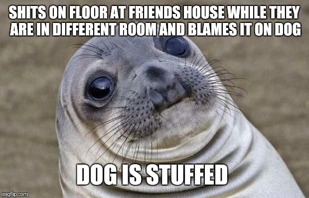 Awkward Moment Sealion | SHITS ON FLOOR AT FRIENDS HOUSE WHILE THEY ARE IN DIFFERENT ROOM AND BLAMES IT
ON DOG DOG IS STUFFED | image tagged in memes,awkward moment sealion | made w/ Imgflip meme maker