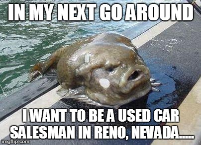 gross fish | IN MY NEXT GO AROUND I WANT TO BE A USED CAR SALESMAN IN RENO, NEVADA..... | image tagged in gross fish | made w/ Imgflip meme maker