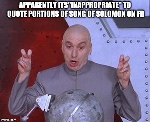 Dr Evil Laser | APPARENTLY ITS"INAPPROPRIATE" TO QUOTE PORTIONS OF SONG OF SOLOMON ON FB | image tagged in memes,dr evil laser | made w/ Imgflip meme maker