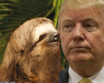 Political advice sloth Blank Meme Template