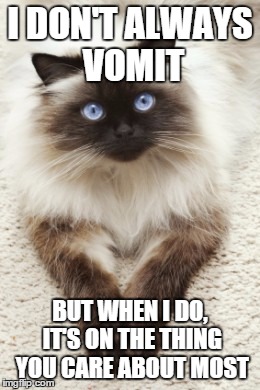 Cat Vomit | I DON'T ALWAYS VOMIT BUT WHEN I DO, IT'S ON THE THING YOU CARE ABOUT MOST | image tagged in funny cat | made w/ Imgflip meme maker