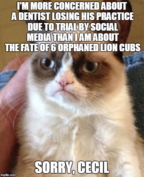 Grumpy Cat Meme | I'M MORE CONCERNED ABOUT A DENTIST LOSING HIS PRACTICE DUE TO TRIAL BY SOCIAL MEDIA THAN I AM ABOUT THE FATE OF 6 ORPHANED LION CUBS SORRY,  | image tagged in memes,grumpy cat | made w/ Imgflip meme maker