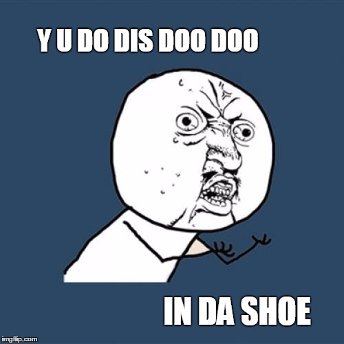 Y U No Meme | Y U DO DIS DOO DOO IN DA SHOE | image tagged in memes,y u no | made w/ Imgflip meme maker