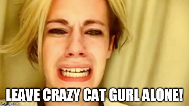 Leave Brittany Alone | LEAVE CRAZY CAT GURL ALONE! | image tagged in leave brittany alone | made w/ Imgflip meme maker