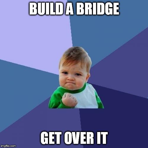 Success Kid | BUILD A BRIDGE GET OVER IT | image tagged in memes,success kid | made w/ Imgflip meme maker