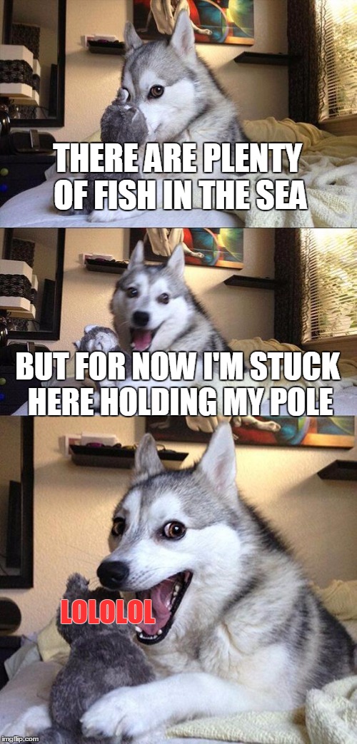 Bad Pun Dog Meme | THERE ARE PLENTY OF FISH IN THE SEA BUT FOR NOW I'M STUCK HERE HOLDING MY POLE LOLOLOL | image tagged in memes,bad pun dog,pof,dog,lolol | made w/ Imgflip meme maker
