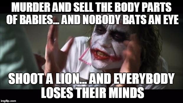 And everybody loses their minds | MURDER AND SELL THE BODY PARTS OF BABIES... AND NOBODY BATS AN EYE SHOOT A LION... AND EVERYBODY LOSES THEIR MINDS | image tagged in memes,and everybody loses their minds | made w/ Imgflip meme maker