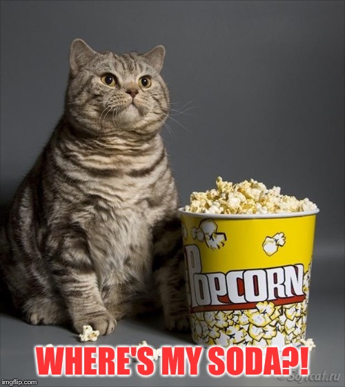 Cat eating popcorn | WHERE'S MY SODA?! | image tagged in cat eating popcorn | made w/ Imgflip meme maker