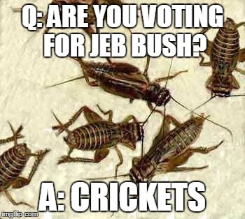Crickets | Q: ARE YOU VOTING FOR JEB BUSH? A: CRICKETS | image tagged in crickets | made w/ Imgflip meme maker
