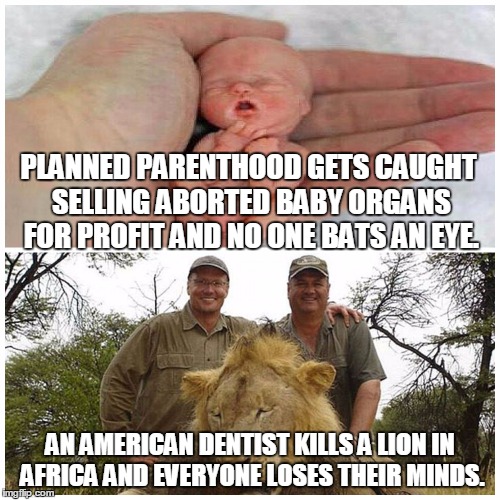 Misplaced outrage | PLANNED PARENTHOOD GETS CAUGHT SELLING ABORTED BABY ORGANS FOR PROFIT AND NO ONE BATS AN EYE. AN AMERICAN DENTIST KILLS A LION IN AFRICA AND | image tagged in planned parenthood,cecil the lion,selective outrage | made w/ Imgflip meme maker
