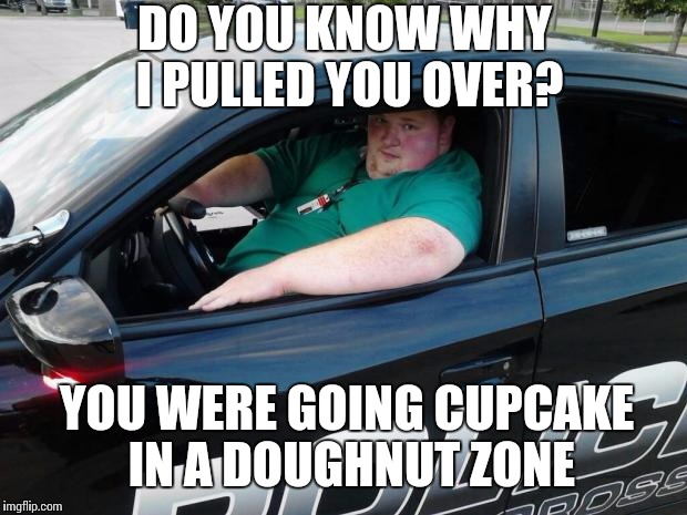 Fat cop | DO YOU KNOW WHY I PULLED YOU OVER? YOU WERE GOING CUPCAKE IN A DOUGHNUT ZONE | image tagged in fat cop | made w/ Imgflip meme maker