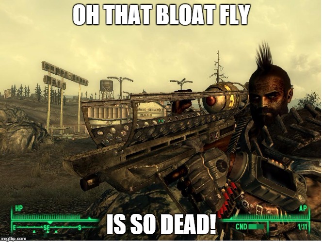 Crazy Raider | OH THAT BLOAT FLY IS SO DEAD! | image tagged in fallout,gaming | made w/ Imgflip meme maker