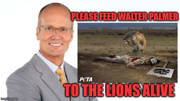 walter palmer | PLEASE FEED WALTER PALMER TO THE LIONS ALIVE | image tagged in lion | made w/ Imgflip meme maker