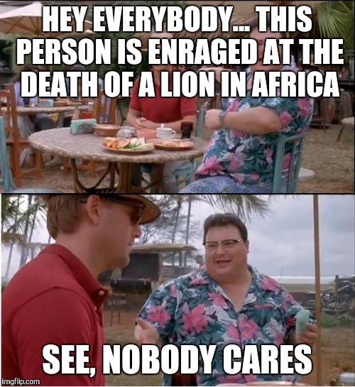 See Nobody Cares | HEY EVERYBODY... THIS PERSON IS ENRAGED AT THE DEATH OF A LION IN AFRICA SEE, NOBODY CARES | image tagged in memes,see nobody cares | made w/ Imgflip meme maker