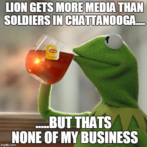 But That's None Of My Business | LION GETS MORE MEDIA THAN SOLDIERS IN CHATTANOOGA.... .....BUT THATS NONE OF MY BUSINESS | image tagged in memes,but thats none of my business,kermit the frog | made w/ Imgflip meme maker