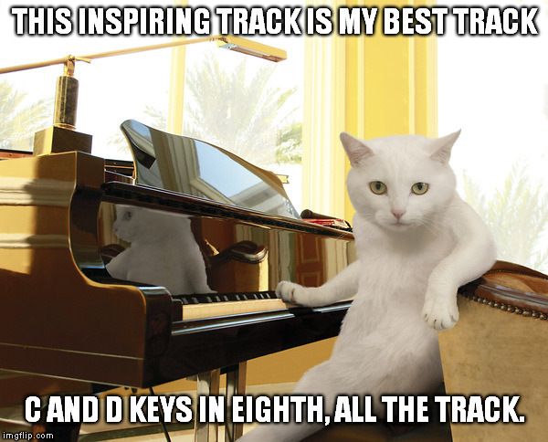 THIS INSPIRING TRACK IS MY BEST TRACK C AND D KEYS IN EIGHTH, ALL THE TRACK. | made w/ Imgflip meme maker