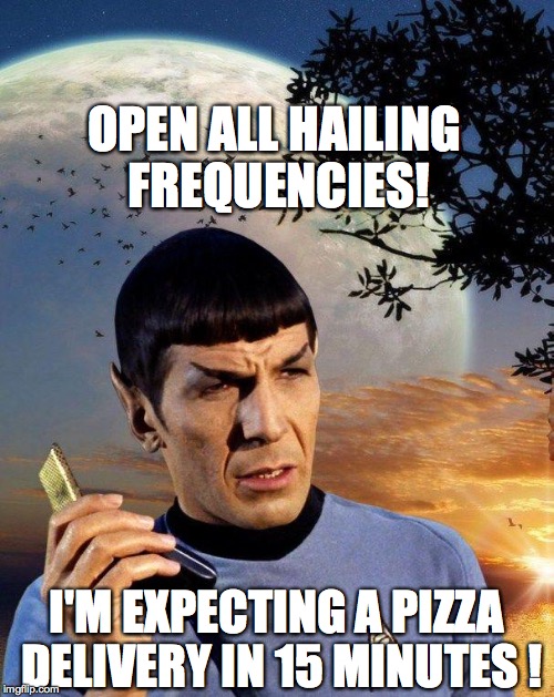 spock phone | OPEN ALL HAILING FREQUENCIES! I'M EXPECTING A PIZZA DELIVERY IN 15 MINUTES ! | image tagged in spock phone | made w/ Imgflip meme maker
