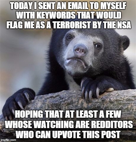 Confession Bear | TODAY I SENT AN EMAIL TO MYSELF WITH KEYWORDS THAT WOULD FLAG ME AS A TERRORIST BY THE NSA HOPING THAT AT LEAST A FEW WHOSE WATCHING ARE RED | image tagged in memes,confession bear | made w/ Imgflip meme maker