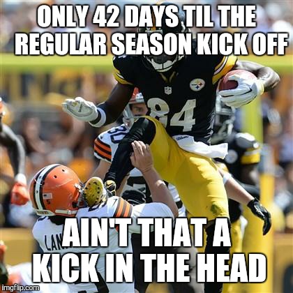 Steelers Karate | ONLY 42 DAYS TIL THE  REGULAR SEASON KICK OFF AIN'T THAT A KICK IN THE HEAD | image tagged in steelers karate,nfl | made w/ Imgflip meme maker