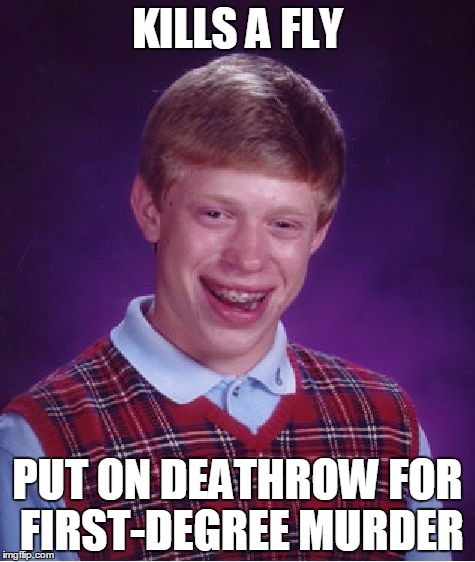 Bad Luck Brian Meme | KILLS A FLY PUT ON DEATHROW FOR FIRST-DEGREE MURDER | image tagged in memes,bad luck brian,funny,bad luck,brian,funny memes | made w/ Imgflip meme maker