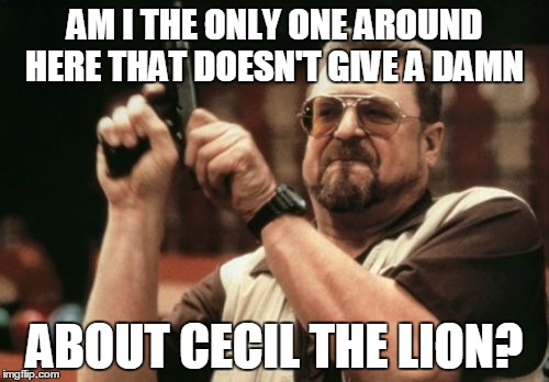 Am I The Only One Around Here Meme | AM I THE ONLY ONE AROUND HERE THAT DOESN'T GIVE A DAMN ABOUT CECIL THE LION? | image tagged in memes,am i the only one around here | made w/ Imgflip meme maker